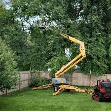  Laurel Lake, NJ Tree Removal Pros