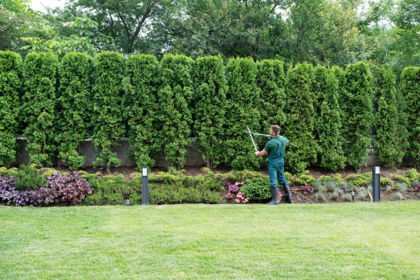 Best Tree Health Inspection  in Laurel Lake, NJ