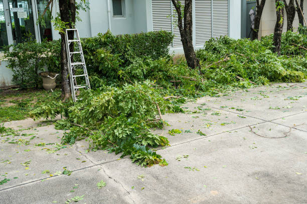 Best Tree Preservation Services  in Laurel Lake, NJ
